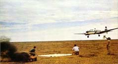 Bush landing image